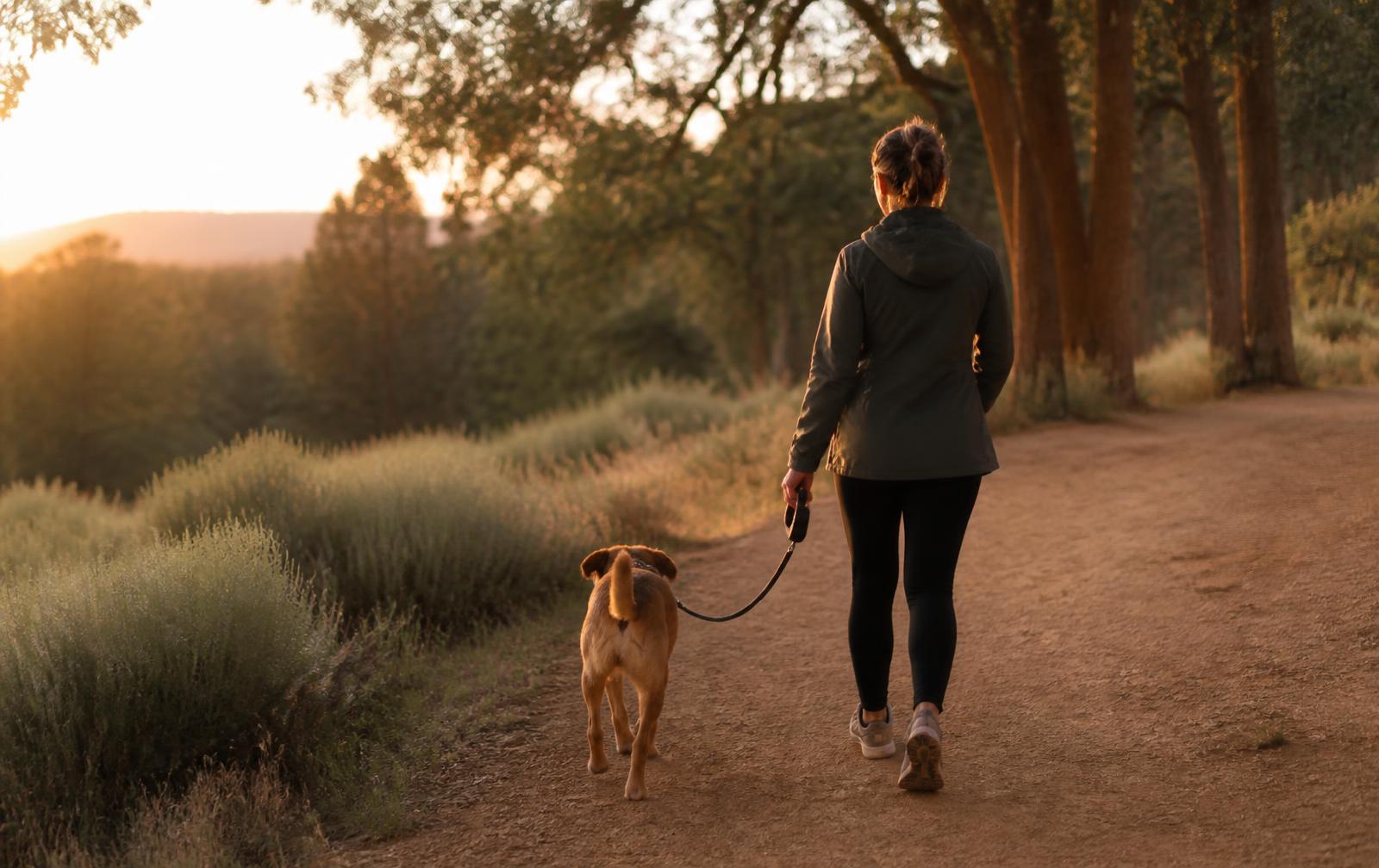 A person walking a dog on a dirt trail beside a wooded park at golden hour